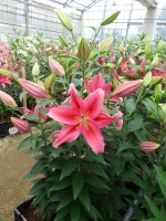 [5300 Lake Carey Mak No01.JPG]